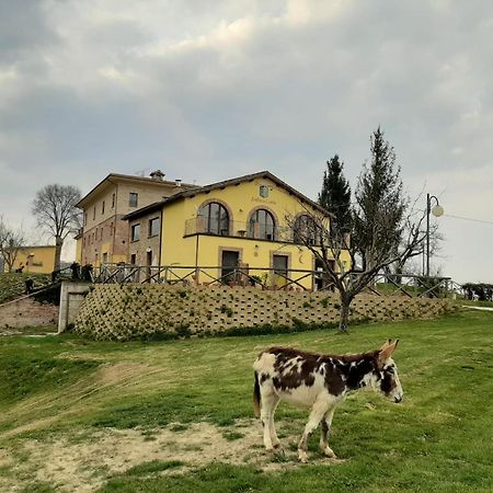 Agriturismo Antica Corte Montatteglia Esterno foto