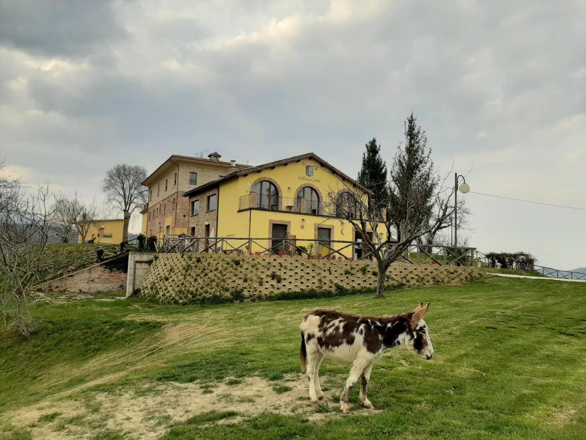 Agriturismo Antica Corte Montatteglia Esterno foto